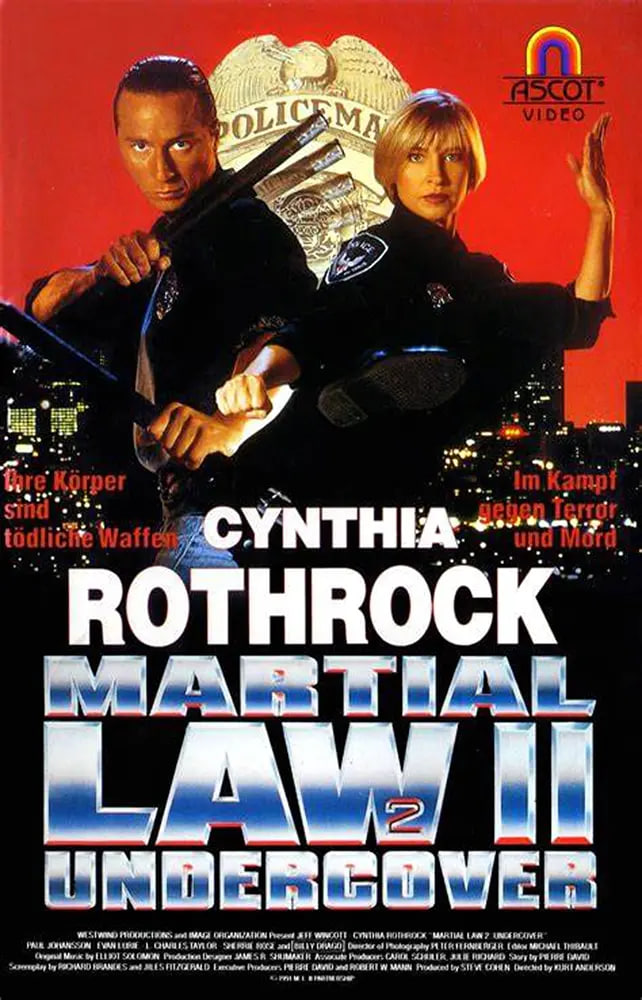 卧底飞龙2 Martial Law II: Undercover
