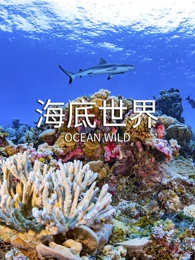 海底世界(全集)